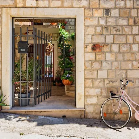 麦克公寓 马卡尔斯卡